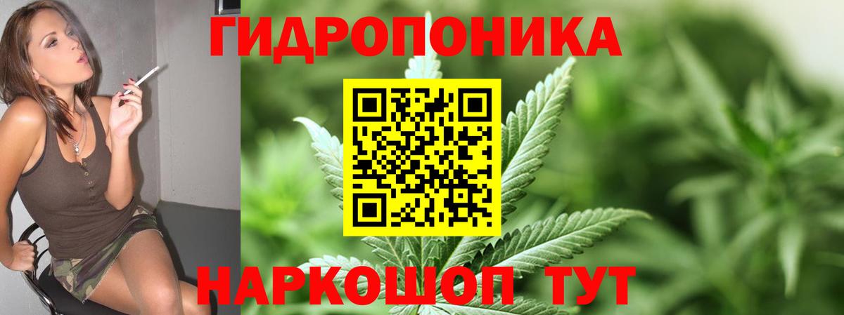 Бошки марихуана LSD WEED  Марихуана Bruce Banner  Марихуана гибрид  Вход с VPN  Амурск  Каннабис VHQ 